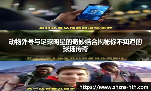 动物外号与足球明星的奇妙结合揭秘你不知道的球场传奇